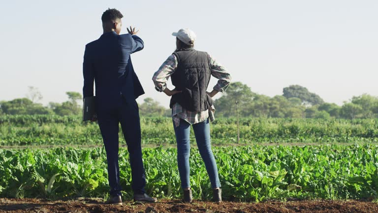 Consultancy for Vegetable Farmers