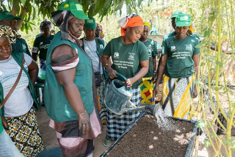 Training for Vegetable Farmers